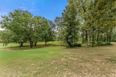 Robertson Road, Hernando, MS 38632 photo 5