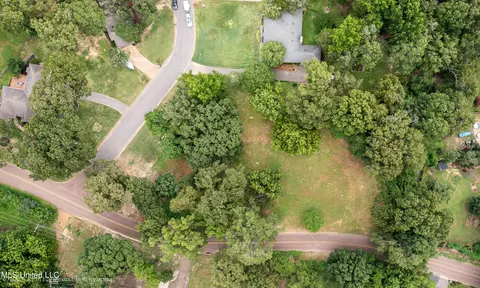 Robertson Road, Hernando, MS 38632 photo 2