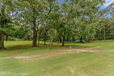 Robertson Road, Hernando, MS 38632 photo 6