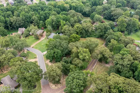 Robertson Road, Hernando, MS 38632 photo 9