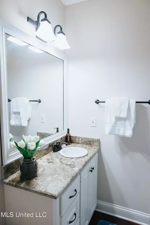 151 Provonce Park, Brandon, MS 39042 photo 26