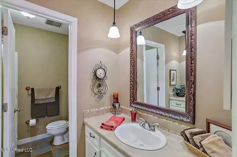 111 Terrapin Dr, Brandon, MS 39042 photo 28