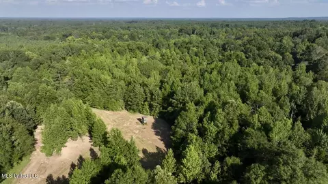 0001 Moore Rd, Edwards, MS 39066