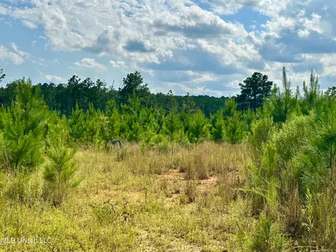 Luke Rd, Noxapater, MS 39346 photo 4