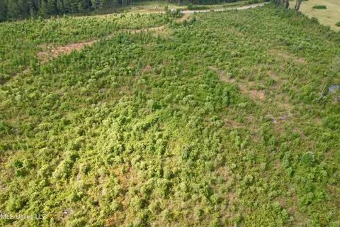 Luke Rd, Noxapater, MS 39346 photo 17