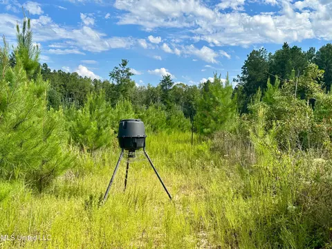 Luke Rd, Noxapater, MS 39346 photo 8