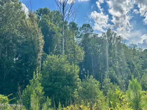 Luke Rd, Noxapater, MS 39346 photo 9