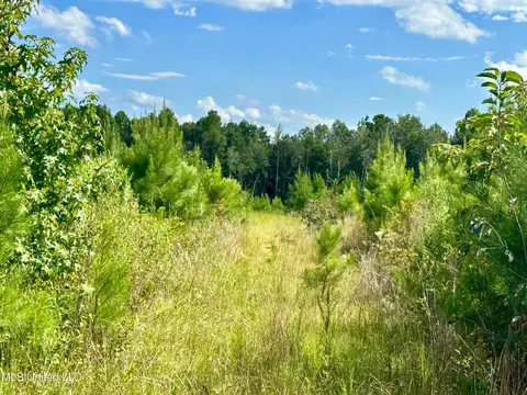 Luke Rd, Noxapater, MS 39346 photo 5