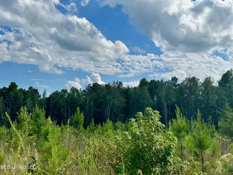 Luke Rd, Noxapater, MS 39346 photo 7