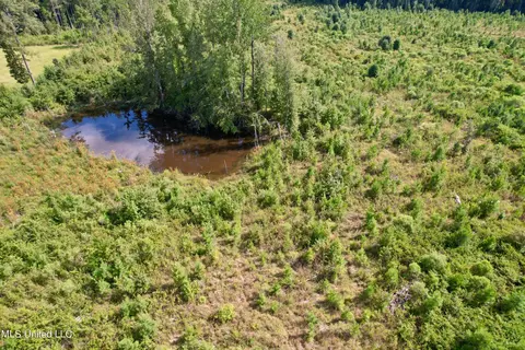 Luke Rd, Noxapater, MS 39346 photo 13