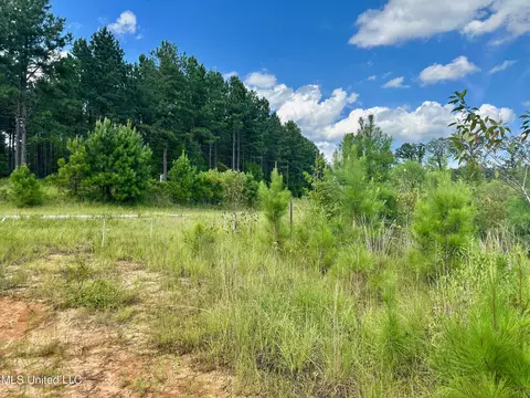 Luke Rd, Noxapater, MS 39346 photo 3