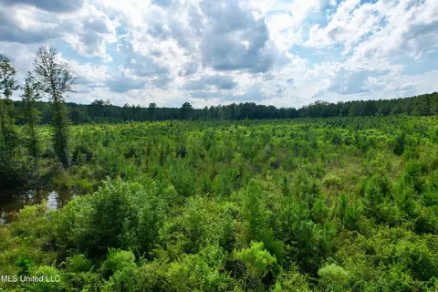 Luke Rd, Noxapater, MS 39346 photo 15