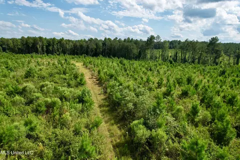 Luke Rd, Noxapater, MS 39346 photo 19