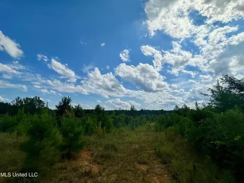 Luke Rd, Noxapater, MS 39346 photo 6