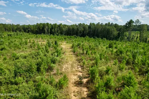 Luke Rd, Noxapater, MS 39346 photo 20