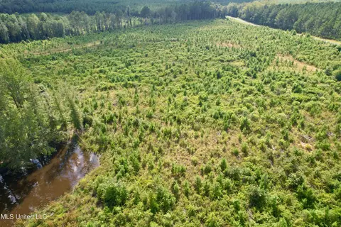 Luke Rd, Noxapater, MS 39346 photo 14