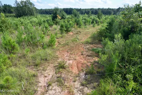 Luke Rd, Noxapater, MS 39346 photo 18