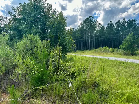 Luke Rd, Noxapater, MS 39346 photo 2