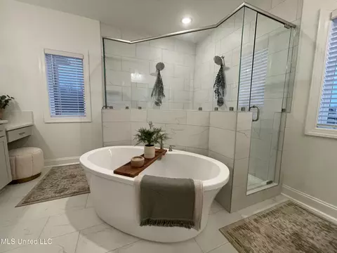 Bath - 5290 Douglas Dr, Olive Branch, MS 38654 photo 2 of 6