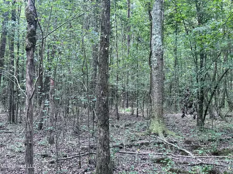 Shiloh Church Road, Newton, MS 39345
