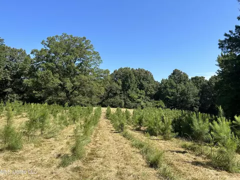 Ferrell Road, Batesville, MS 38606