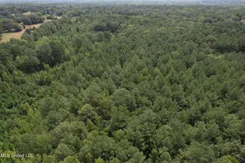 N Hwy 43, Canton, MS 39046 photo 5