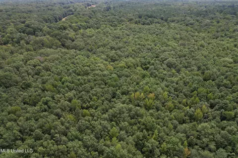 N Hwy 43, Canton, MS 39046 photo 6