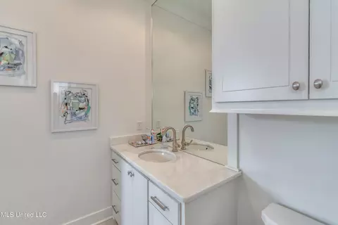 315 Covington Cv, Madison, MS 39110 photo 48