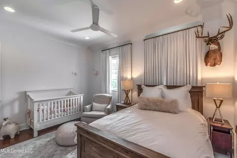 315 Covington Cv, Madison, MS 39110 photo 51