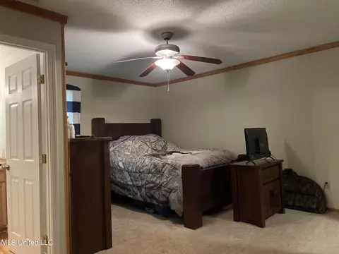 122 Beaver Dam Dr, Lucedale, MS 39452 photo 8