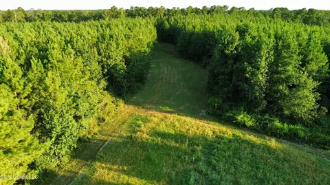 00 Billy Sessums Rd, Morton, MS 39117