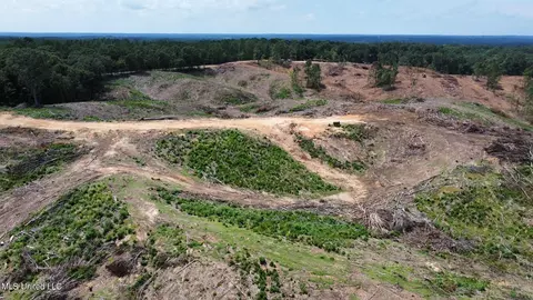 Hwy 440, Kosciusko, MS 39090
