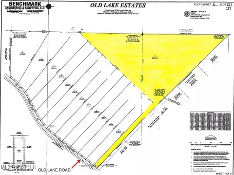 Old Lake Road, Brandon, MS 39042 photo 2