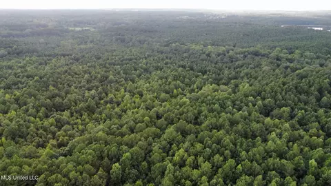 Old Lake Road, Brandon, MS 39042 photo 4