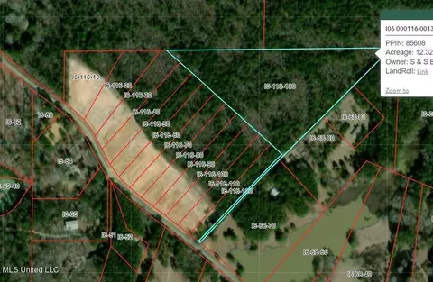 Old Lake Road, Brandon, MS 39042 photo 3