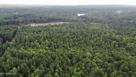 Old Lake Road, Brandon, MS 39042