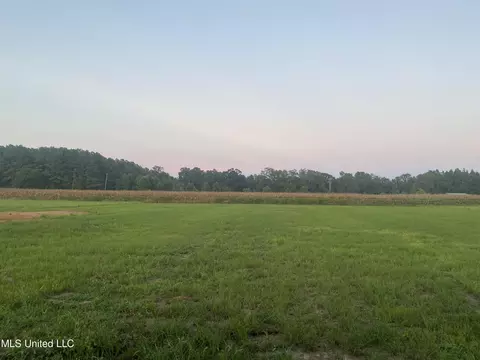 241 Sally Parker Rd, Lucedale, MS 39452 photo 15