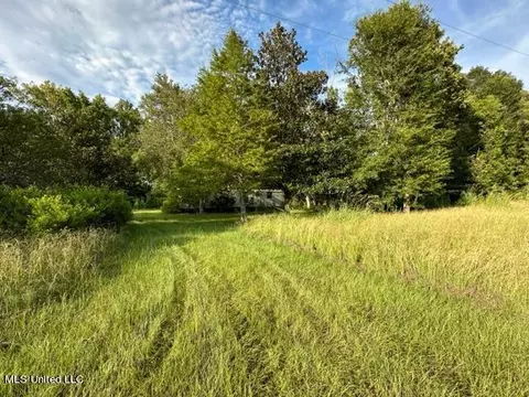 Old Highway 80, Edwards, MS 39066 photo 5