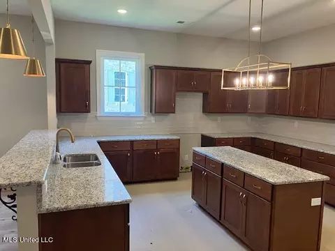3076 W Ac Freeman Dr, Hernando, MS 38632 photo 11