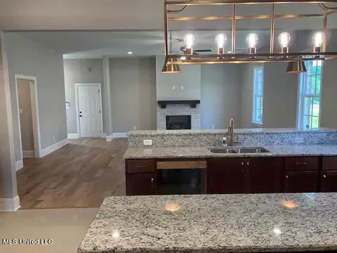 3076 W Ac Freeman Dr, Hernando, MS 38632 photo 12