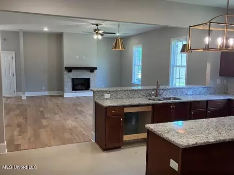 3076 W Ac Freeman Dr, Hernando, MS 38632 photo 3