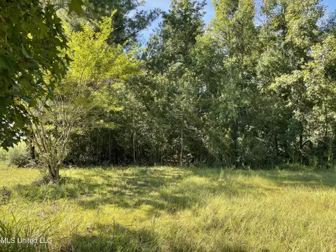 1109 Us-98, Lucedale, MS 39452 photo 3