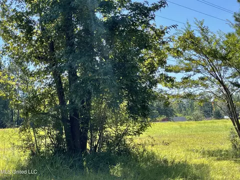 1109 Us-98, Lucedale, MS 39452 photo 4