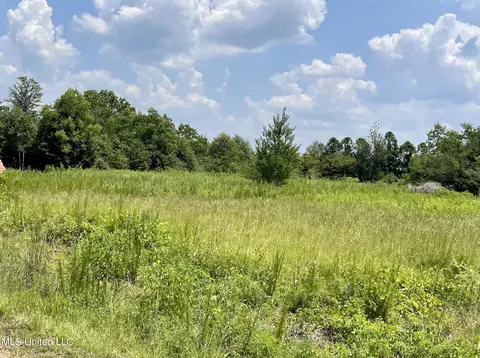 1 38 Acres Luther Davis Rd, Lucedale, MS 39452