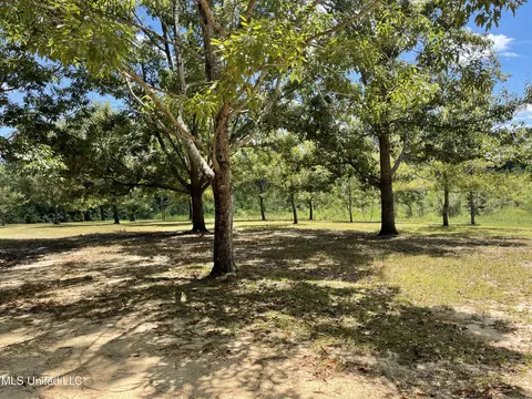716 Michael Mcleod Rd, Mclain, MS 39456 photo 10
