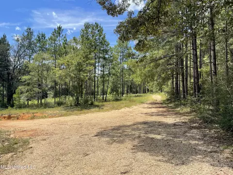 716 Michael Mcleod Rd, Mclain, MS 39456 photo 13