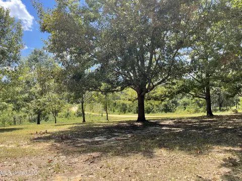 716 Michael Mcleod Rd, Mclain, MS 39456 photo 11