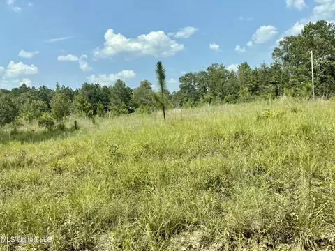 716 Michael Mcleod Rd, Mclain, MS 39456 photo 16