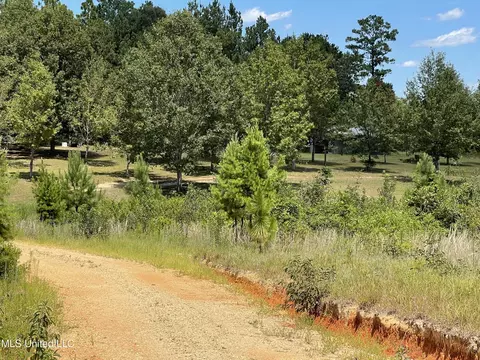 716 Michael Mcleod Rd, Mclain, MS 39456 photo 2