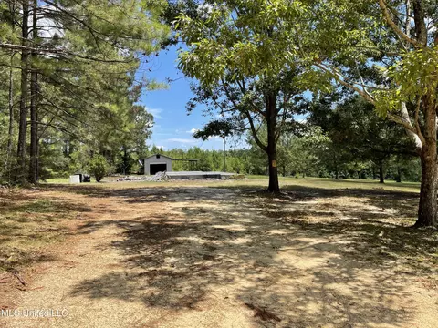 716 Michael Mcleod Rd, Mclain, MS 39456 photo 5